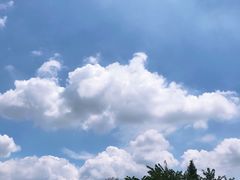 -都江堰中华大熊猫苑