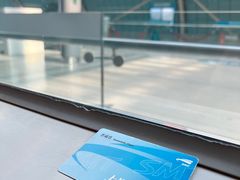 -龙阳路磁悬浮列车总站-停车场