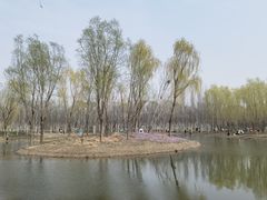 -东郊湿地公园