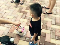 -苏州乐园森林水世界