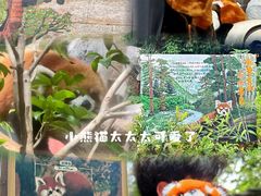 -红山森林动物园