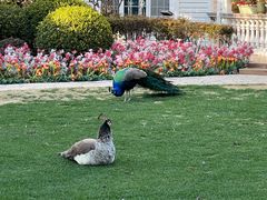 -J Create城市露营咖啡·简餐·宠物(上海动物园店)