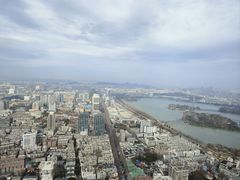 -紫峰大厦
