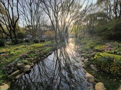 -上海共青森林公园