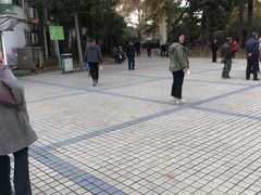 -洛阳市牡丹公园