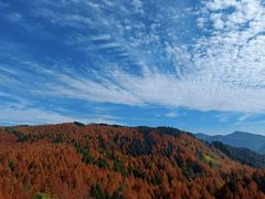 -山王坪喀斯特国家生态公园