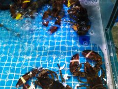 -良师门滨海人家·海鲜·家常菜(滨海城店)