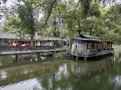 -侨美·唐荔园·40年地道粤菜