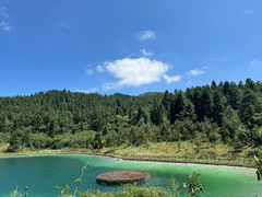 -武陵山森林公园