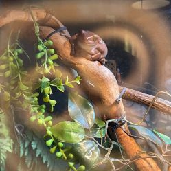 -Zoolung Zoolung动物主题公园(海信广场店)