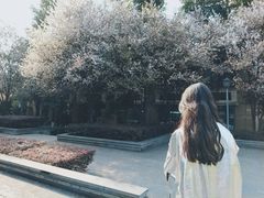 -黄桷坪涂鸦艺术街