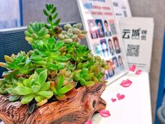 -云城照相馆(龙湖雨山天街店)