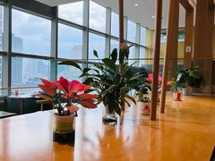 -霓裳茶舞(上海静安大悦城店)