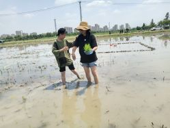 -麦粒鸟亲子游