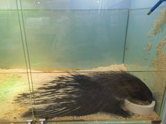 -FAIRYLAND龙族星球主题餐厅(凯丹广场店)