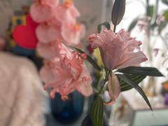 -新荟城(望京店)