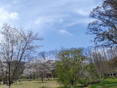 -杭州植物园