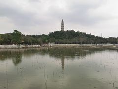 -顺峰山公园