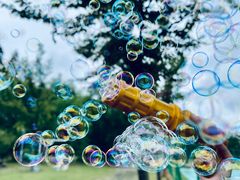 -前小桔亲子创意农场·草莓采摘·露营烧烤