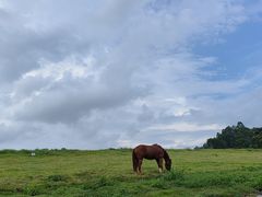 -火炉山森林公园