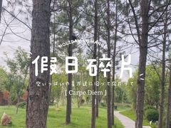-崇阳三特浪口温泉