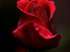 -乐圣量贩KTV自助餐(崇文店)