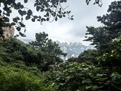 -崂山巨峰游览区