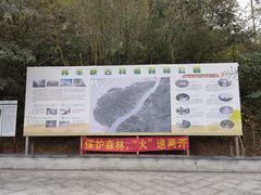 -羚羊峡古栈道森林公园