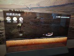 -中国湿地博物馆