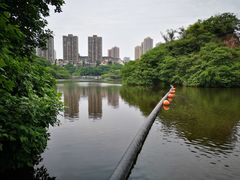 -重庆彩云湖湿地公园