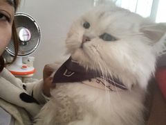 -大洋晶典(东街店)