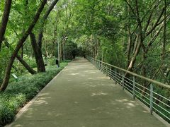 -西湖风景区-江洋畈生态公园