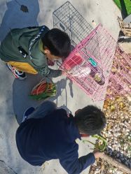 -优沃得自然教育农场·冰雪乐园·生日会·研学