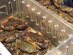 -陶陶居海鲜酒家(新马路店)