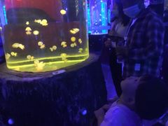 -锦艺城海洋馆