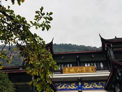 -青城山