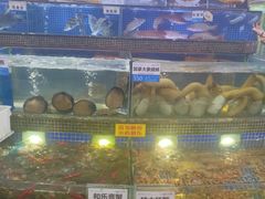 -欢乐海岸美食联盟
