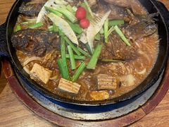 -老板恋上鱼(恒隆广场店)