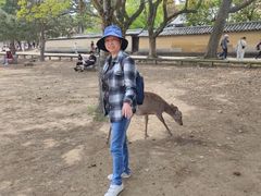 -奈良公园