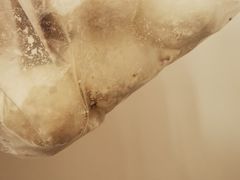 -年糕杨(公主坟城乡购物中心店)