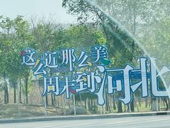 -吴桥杂技大世界