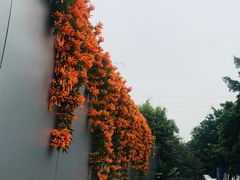 -中国移动南方基地