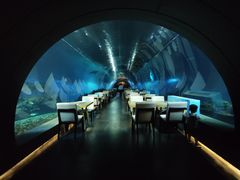-海棠湾洲际-涛·海底餐厅·美人鱼·自助餐·海底隧道