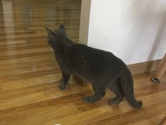 -壹人壹像工作室(购物公园店)