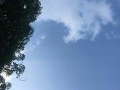 -河南占军烩面馆(中华广场店)
