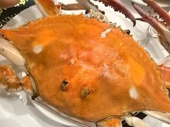 -北塘海鲜·天津菜(大光明桥旗舰店)