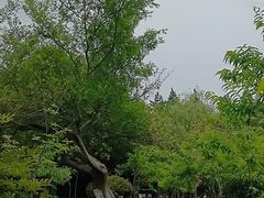 -水绘园