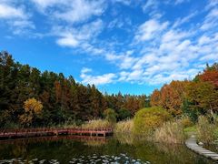 -上海吴淞炮台湾国家湿地公园