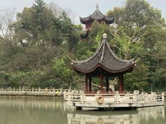 -汇龙潭