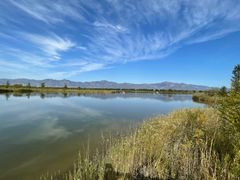 -野鸭湖国家湿地公园